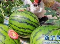 千万网红吃瓜最近消息 第1张 千万网红吃瓜最近消息 第1张